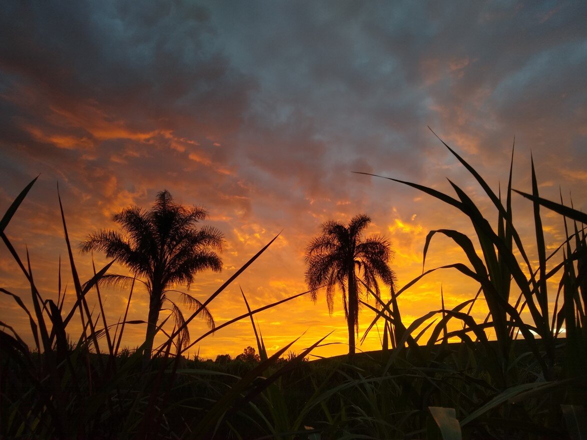 Amanhecer dourado