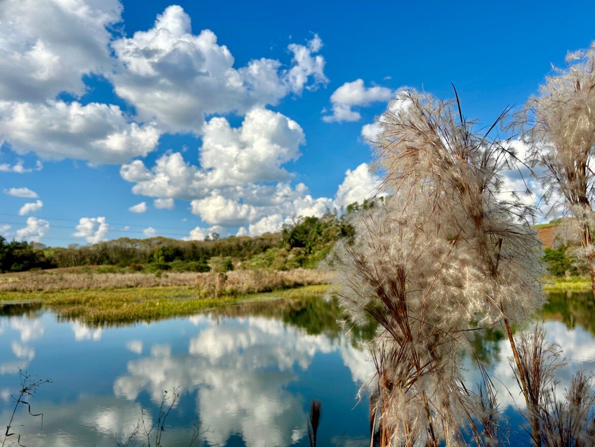 A delicadeza da natureza emoldurada pelo céu e refletida na calmaria da água